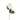 Flowers-Peony Bud-Bloomr