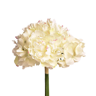 Flowers-Peony & Hydrangea Bouquet-Bloomr
