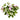 Flowers-Petunia-Bloomr