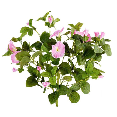 Flowers-Petunia-Bloomr