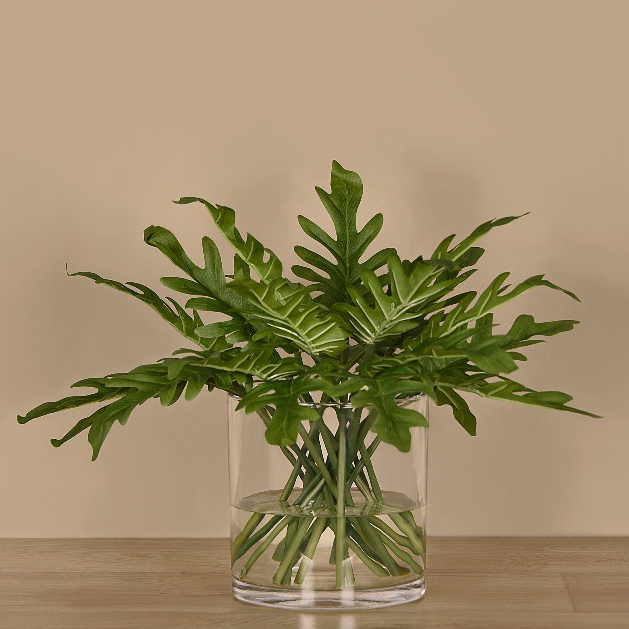 lacy tree philodendrons water vase Philodendron Arrangement in Glass Vase – Bloomr