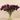 Floral Arrangement-Artificial Parrot Tulips in Glass Vase-Bloomr