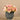 Floral Arrangement-Rose Arrangement-Bloomr