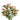 Flowers-Rose-Bloomr