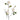 Flowers-Rose-Bloomr