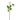 Flowers-Rose-Bloomr