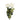 Flowers-Rose-Bloomr