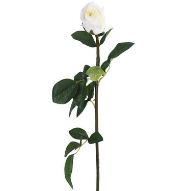 Flowers-Rose-Bloomr