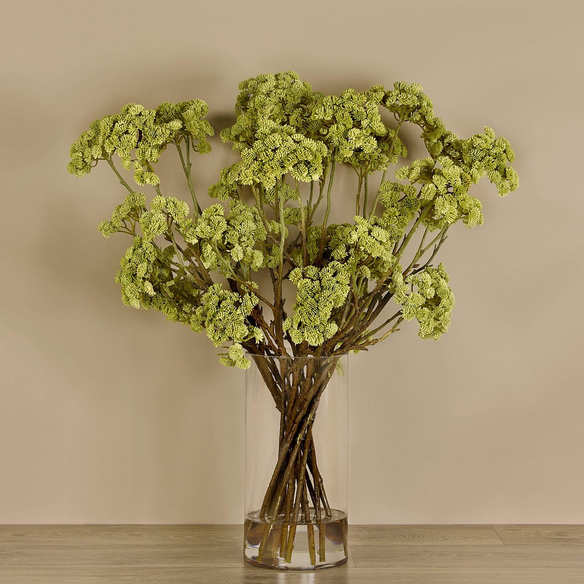 Sedum Arrangement In Glass Vase Bloomr sedum-arrangement-in-glass-vase-bloomr