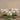Flowers-Sleek Artificial Orchid Arrangement-Bloomr