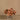 Flowers-Velvet Magnolia in Glass Vase-Bloomr