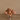 Flowers-Velvet Magnolia in Glass Vase-Bloomr
