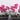 Flowers-Contemporary Artificial Orchid Arrangement-Bloomr