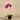 Flowers-Artificial Orchid Arrangement-Bloomr