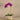 Flowers-Artificial Orchid Arrangement-Bloomr