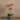 Flowers-Artificial Orchid Arrangement-Bloomr
