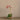 Flowers-Artificial Orchid & Succulent Arrangement-Bloomr