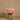 Flowers-Artificial Calla Lilly in Glass Vase-Bloomr