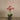 Flowers-Artificial Orchid Arrangement-Bloomr