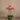 Flowers-Artificial Orchid Arrangement-Bloomr