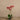 Flowers-Artificial Orchid Arrangement-Bloomr