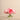 Floral Arrangement-Artificial Peony Arrangement in Glass Vase-Bloomr