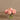 Flowers-Artificial Rose Arrangement in Glass Vase-Bloomr