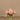 Flowers-Artificial Rose Arrangement in Glass Vase-Bloomr