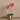 Flowers-Artificial Orchid Arrangement-Bloomr