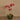 Flowers-Artificial Orchid Arrangement-Bloomr