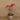 Flowers-Artificial Orchid Arrangement-Bloomr