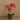 Flowers-Artificial Orchid Arrangement-Bloomr