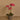 Flowers-Artificial Orchid Arrangement-Bloomr