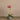 Flowers-Modern Orchid Arrangement-Bloomr