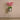 Flowers-Artificial Orchid Arrangement-Bloomr