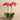 Flowers-Artificial Orchid Arrangement-Bloomr