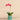 Flowers-Orchid Arrangement in Ceramic Vase-Bloomr