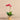 Flowers-Orchid Arrangement in Gold Vase-Bloomr