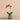 Flowers-Pearl Orchid Arrangement-Bloomr