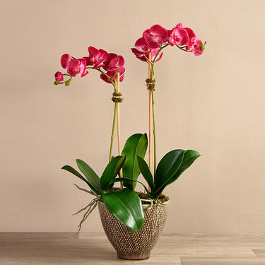 Flowers-Rustic Orchid Arrangement-Bloomr