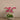 Flowers-Sleek Artificial Orchid Arrangement-Bloomr