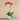 Flowers-Stella Orchid Arrangement-Bloomr