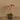 Flowers-Artificial Orchid Arrangement-Bloomr