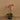 Flowers-Artificial Orchid Arrangement-Bloomr