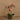 Flowers-Artificial Orchid Arrangement-Bloomr