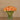 Floral Arrangement-Tulip Arrangement in Glass Vase-Bloomr