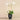 Flowers-Artificial Orchid Arrangement-Bloomr