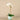 Flowers-Orchid Arrangement in Ceramic Vase-Bloomr