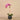 Flowers-Artificial Orchid Arrangement-Bloomr