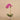 Flowers-Artificial Orchid Arrangement-Bloomr